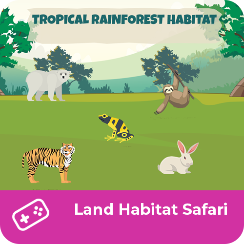 Land Habitat Safari | Curious World