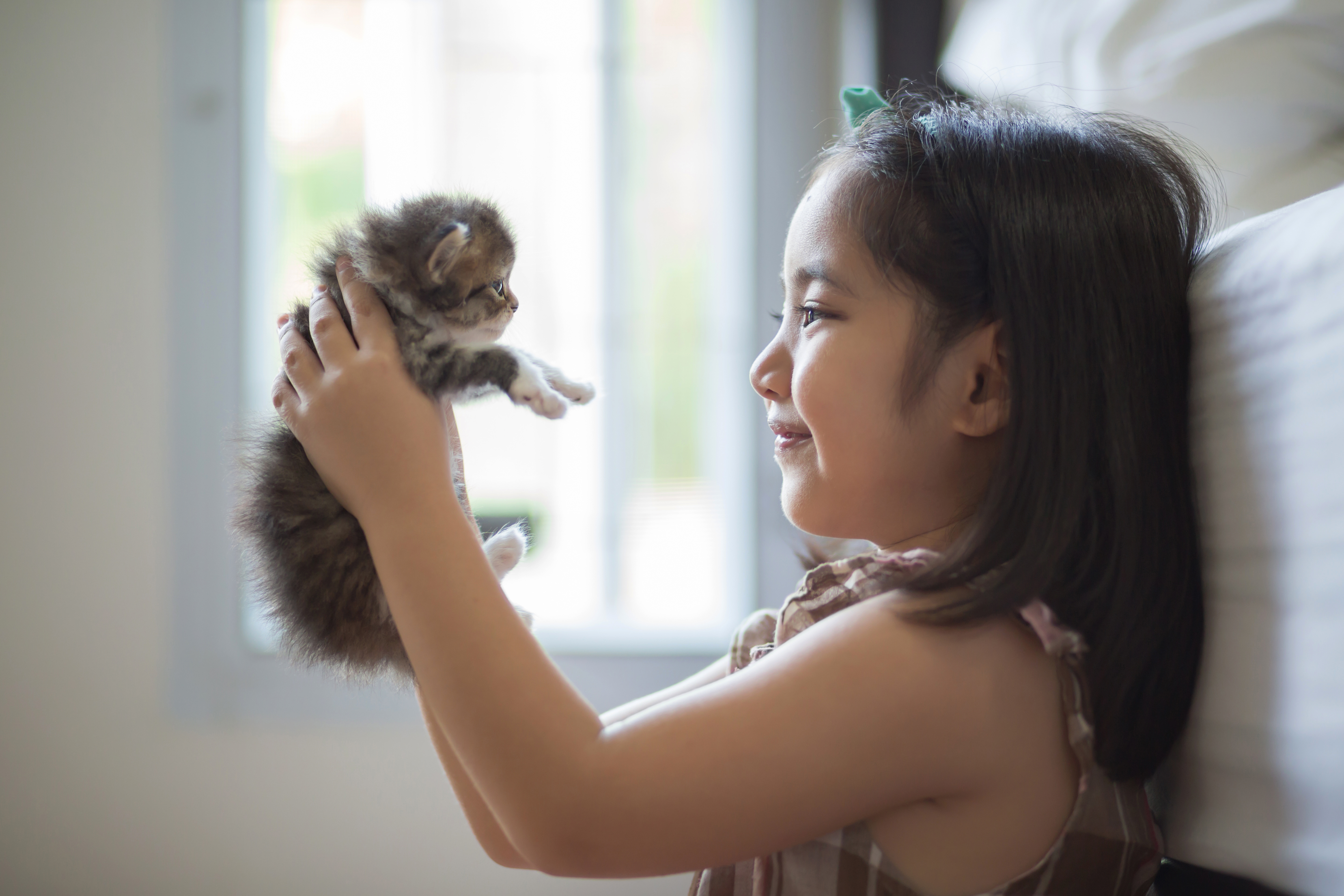 Responsibility for kids - girl holding kitten