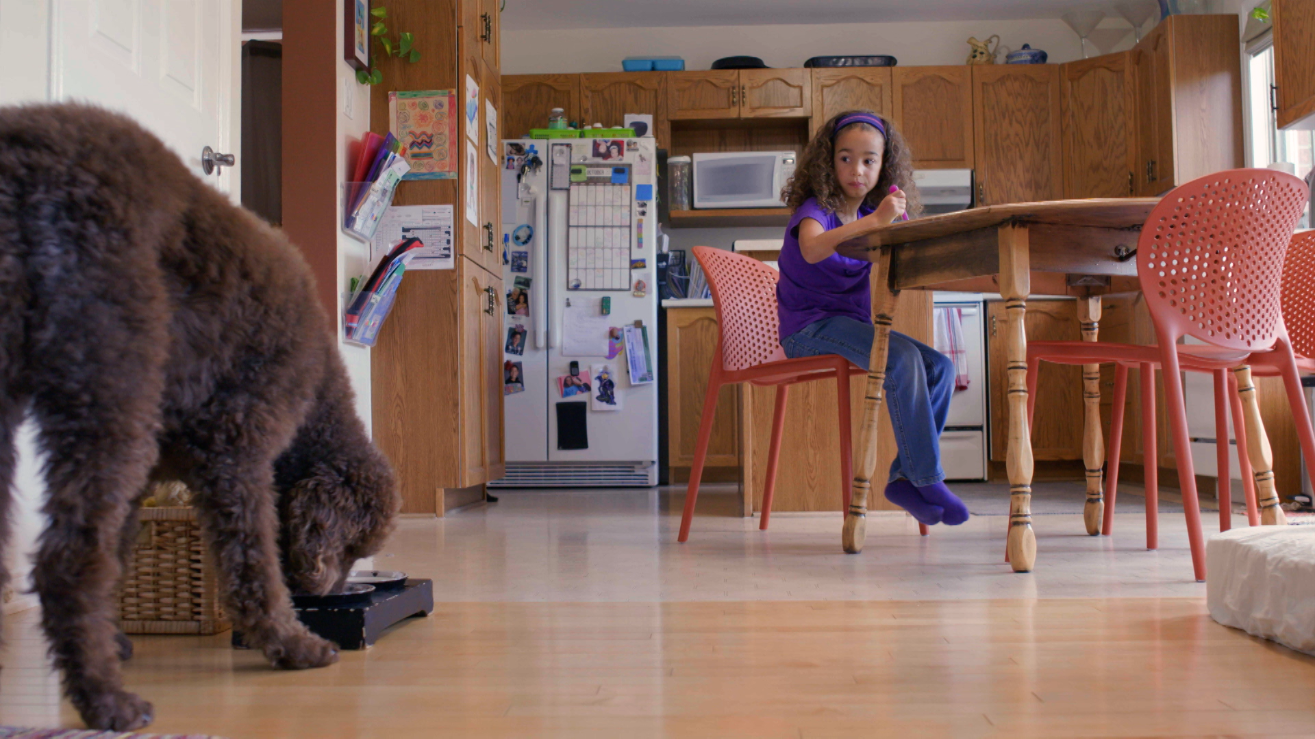 Responsibility for kids - girl feeding dog