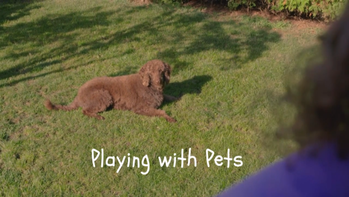 Confidence Builders - Playing with Pets