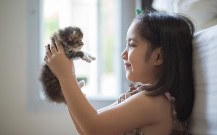 Responsibility for kids - girl holding kitten