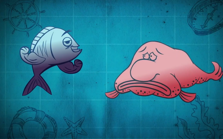 Blobfish Facts: Lesson for Kids - Video & Lesson Transcript